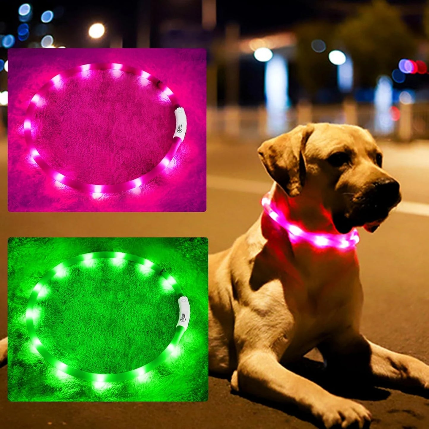 LED Dog Collar, USB Rechargeable