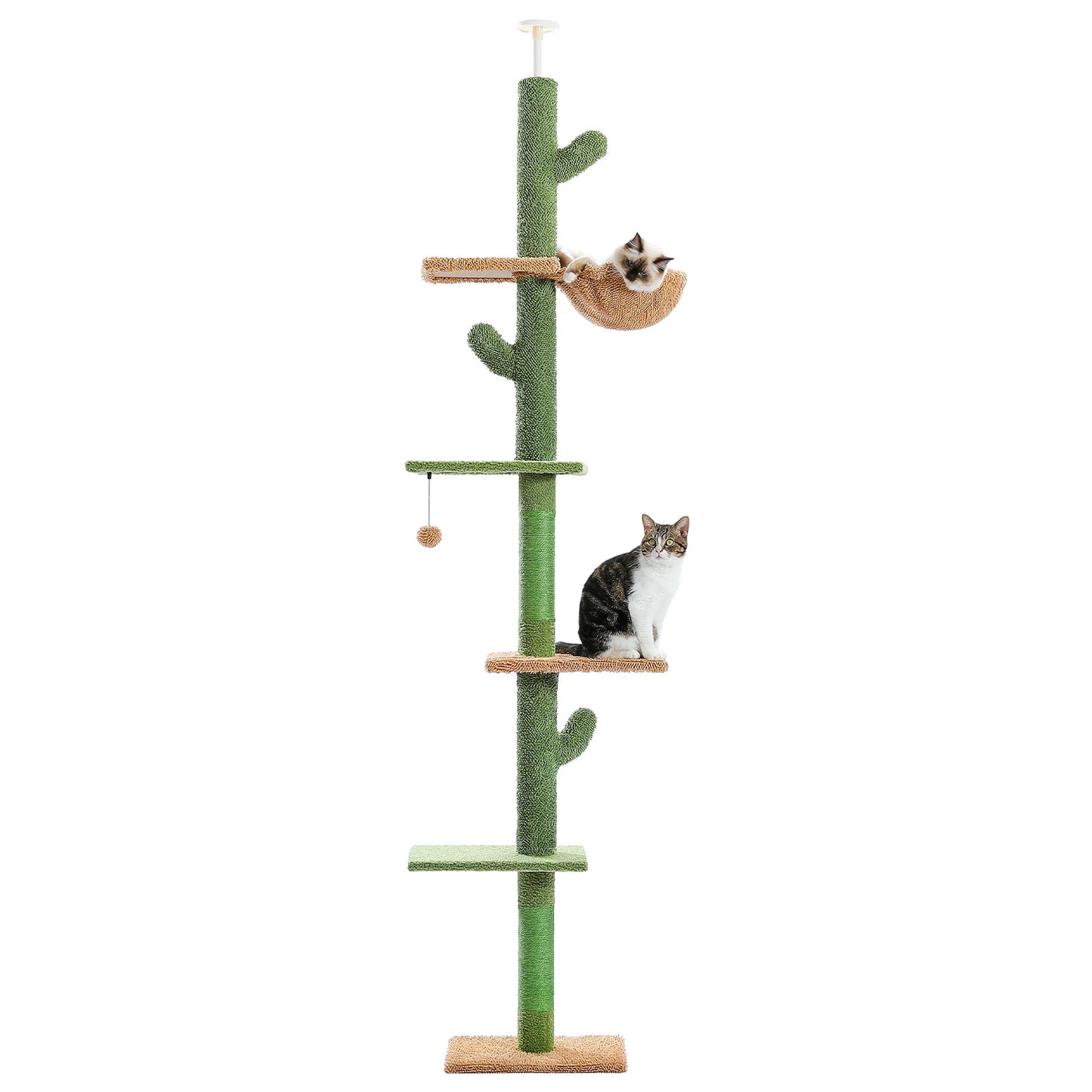 5-Tier Floor to Ceiling Cactus Tall Climbing Tree