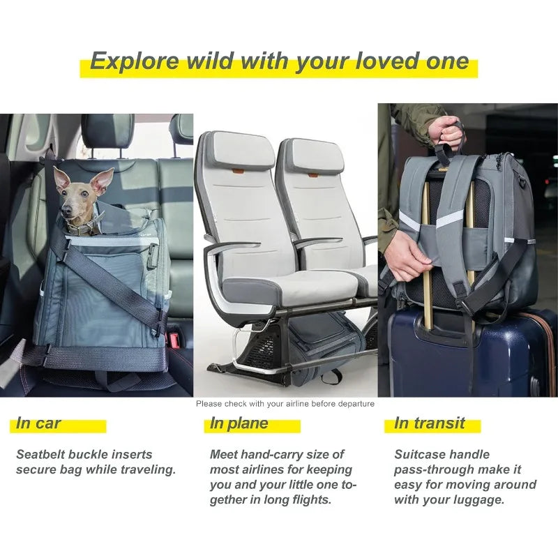 Pet Airline-Approved Backpack