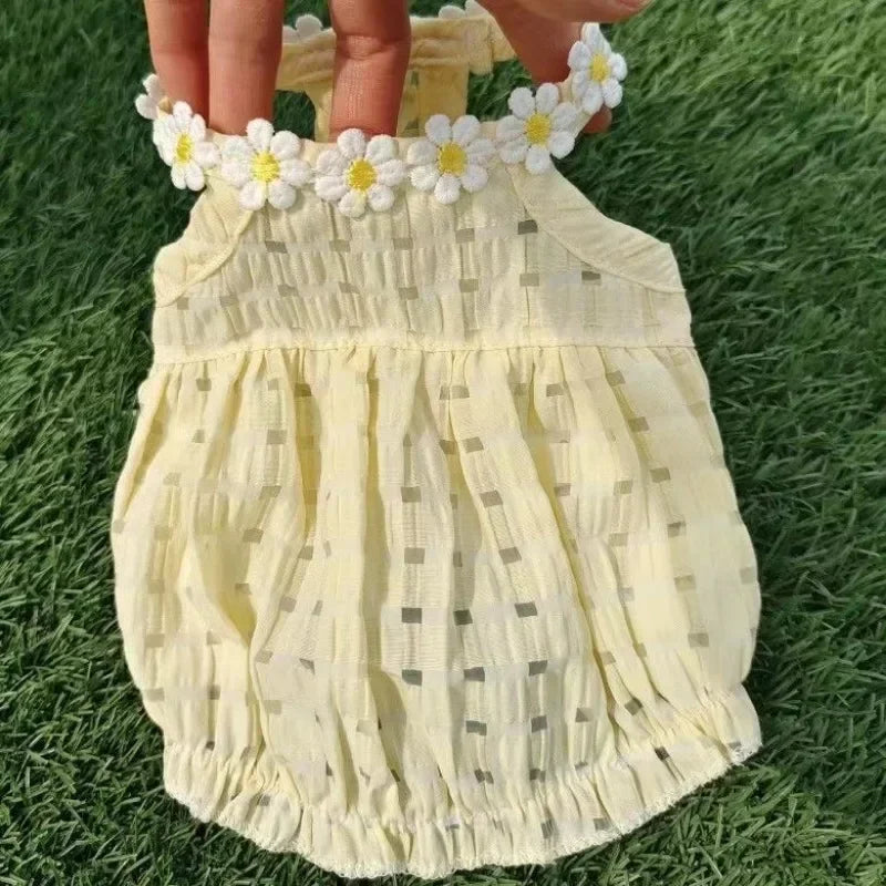 Daisy Dress Dog Clothing