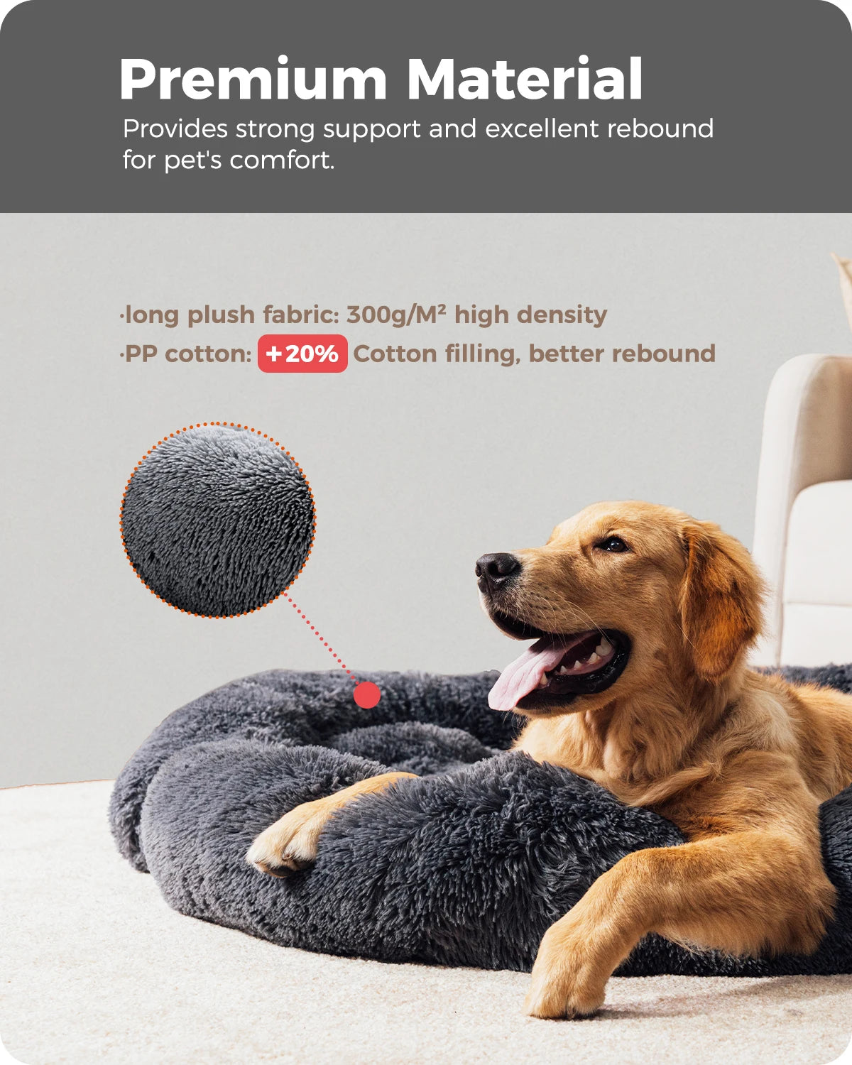 Pet Bed or Sofa Protection