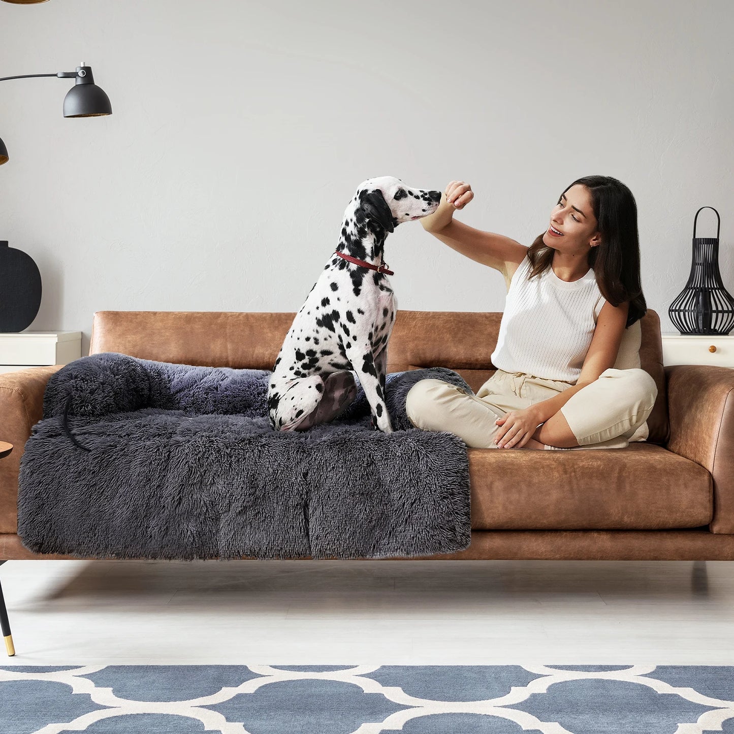 Pet Bed or Sofa Protection
