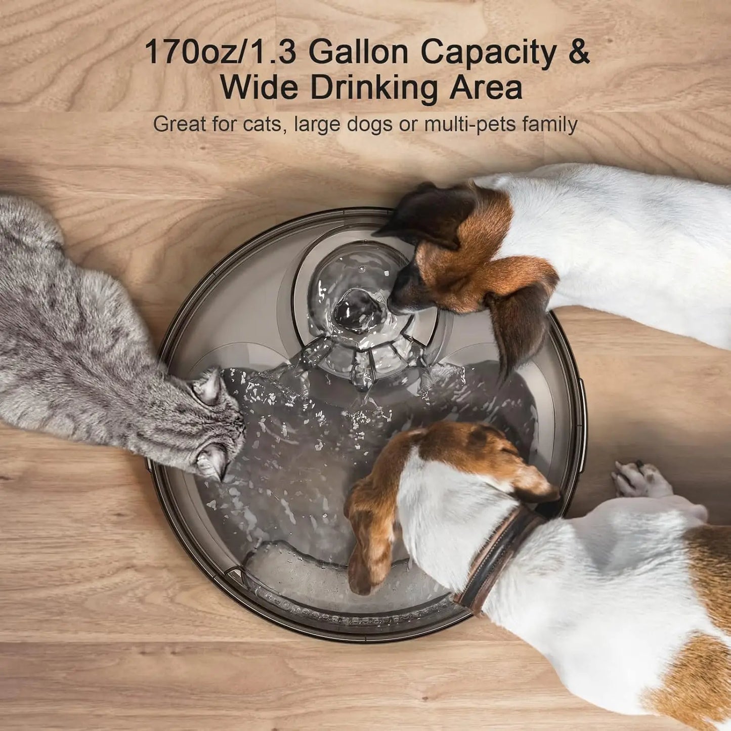 NPET DF10 Dog Water Fountain