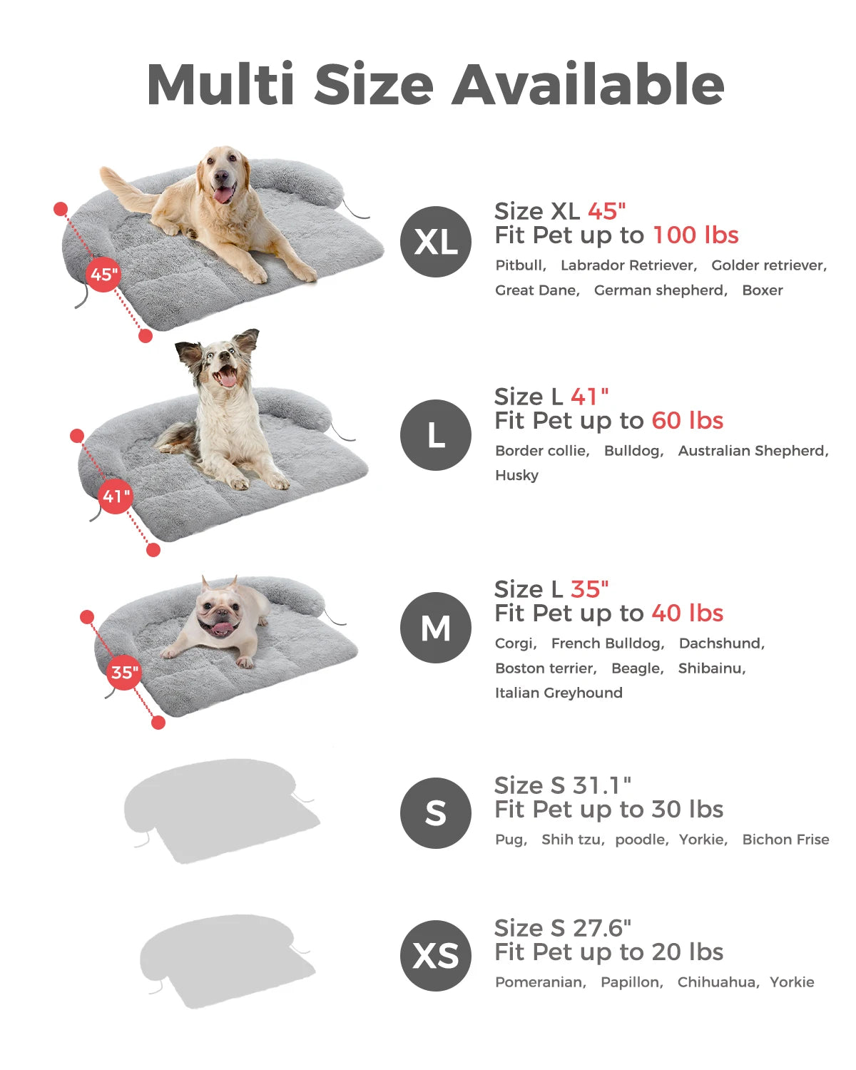 Pet Bed or Sofa Protection