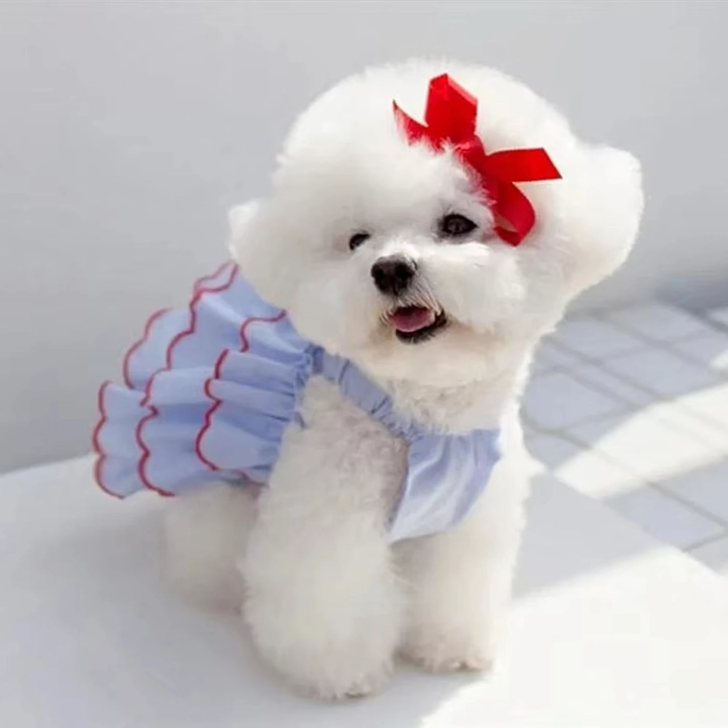 Pet Spring Summer Dress