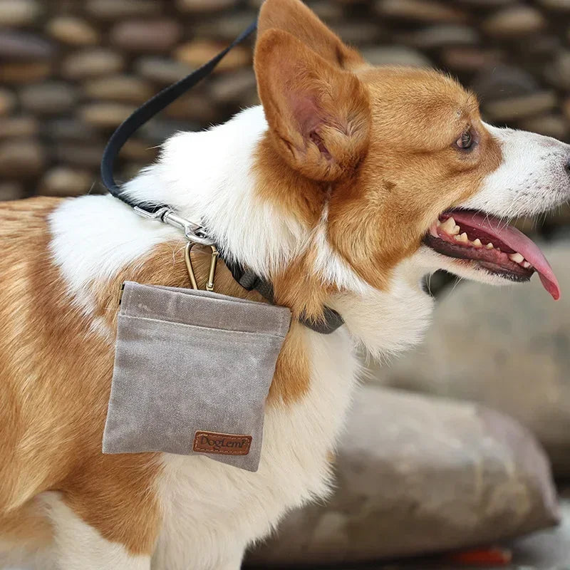 Dog Training Waist Bag Hands Free