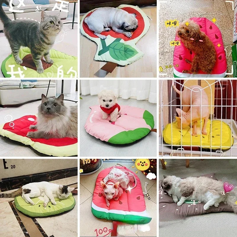 Cooling Summer Mat Dogs Cat