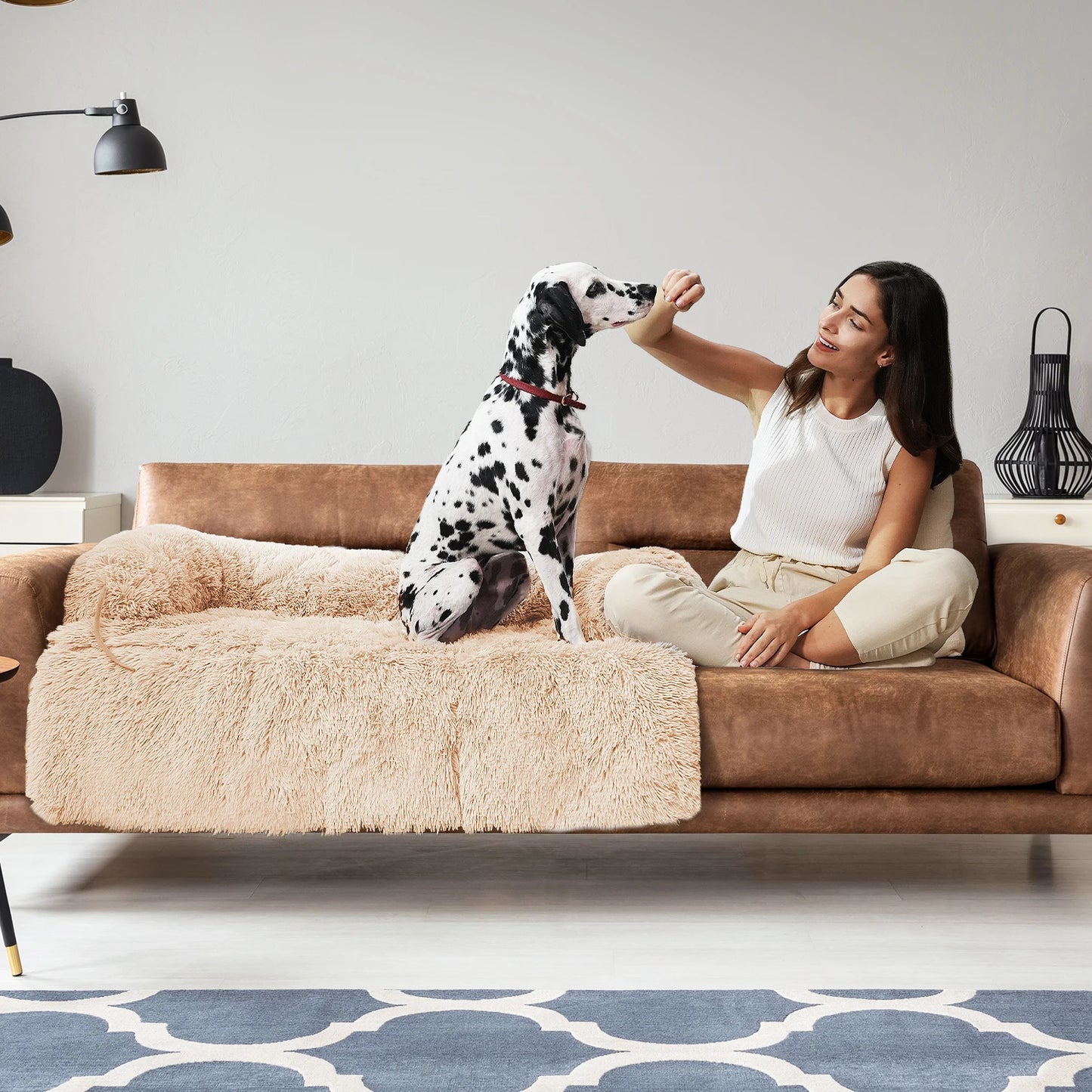 Pet Bed or Sofa Protection